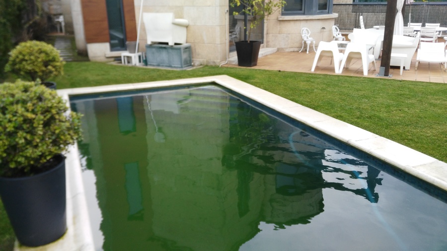 Cesped recien segado