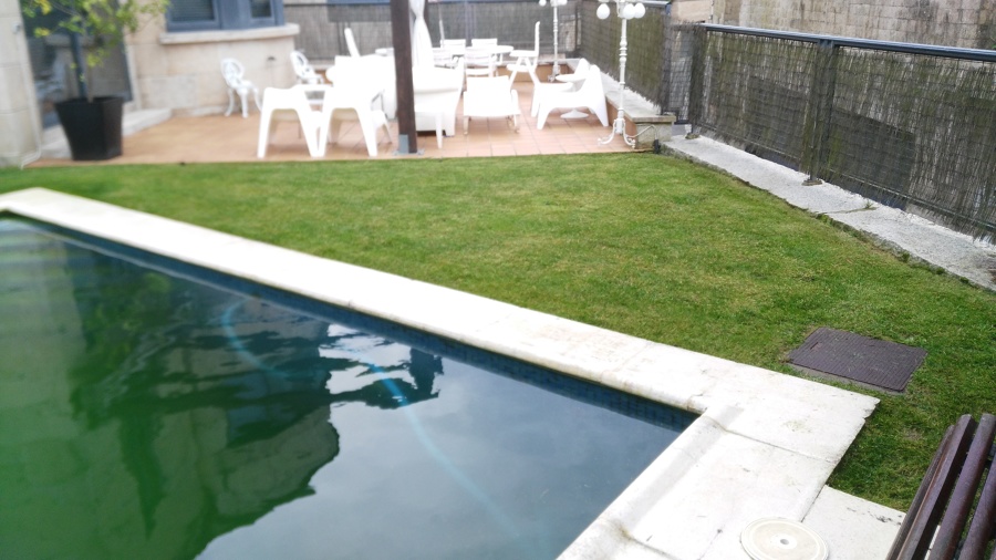 Cesped recien segado 