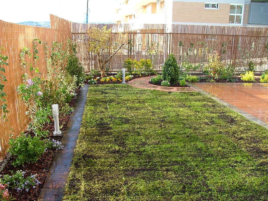 CESPED RECIEN SEMBRADO