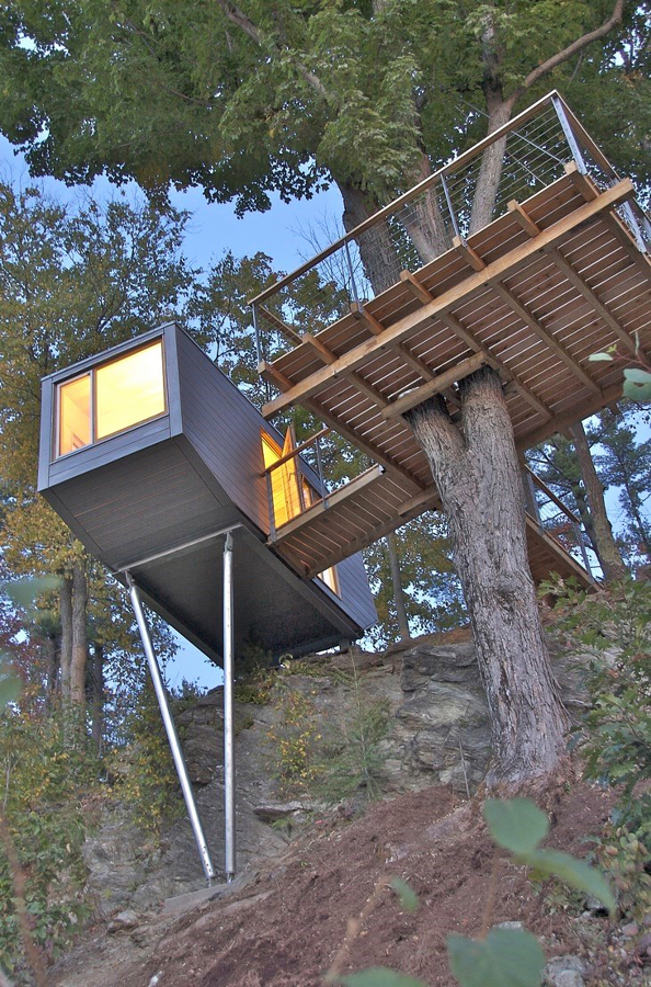 Cliff tree house
