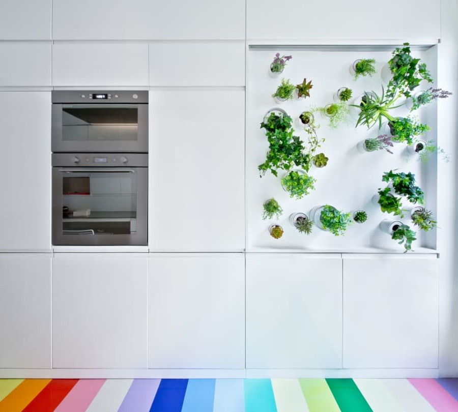 cocina con plantas de interior