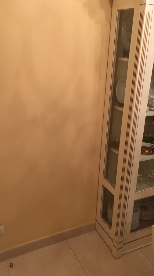 Cocina de estilo clásico de visita en casa de cliente