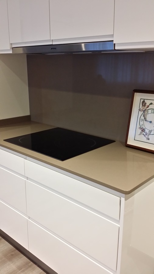 COCINA, detalle zona vitro