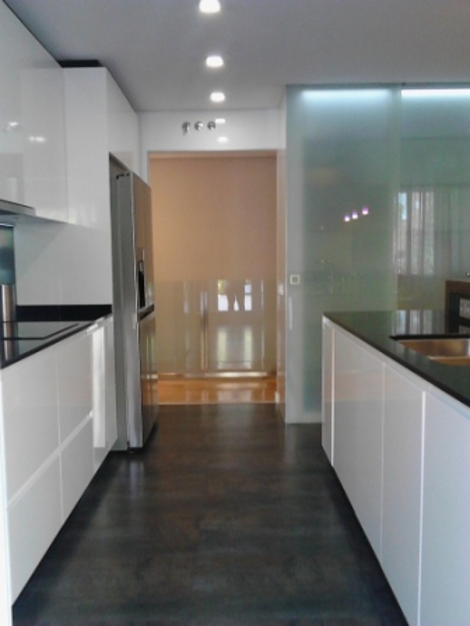 Cocina, mobiliario y encimera