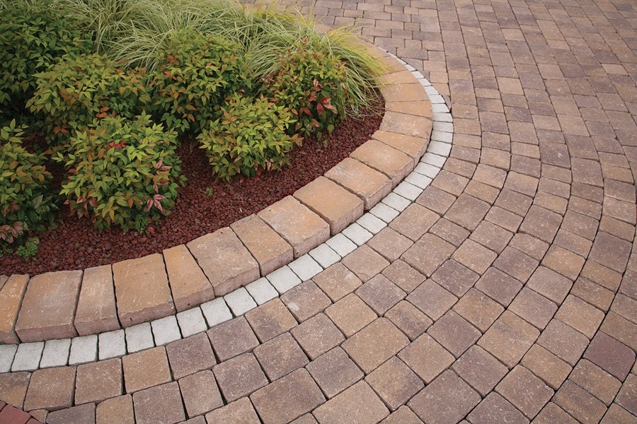 Colocación de adoquines y alcorque de adoquines