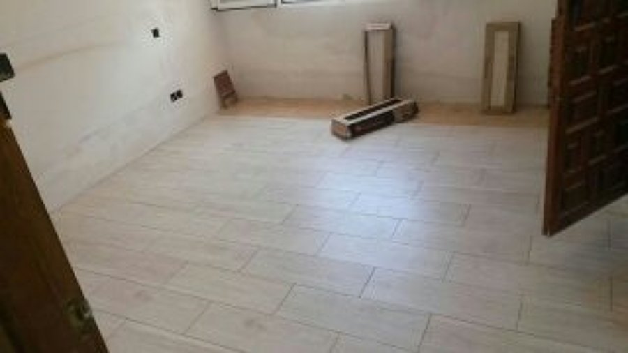 Colocación de alicanto