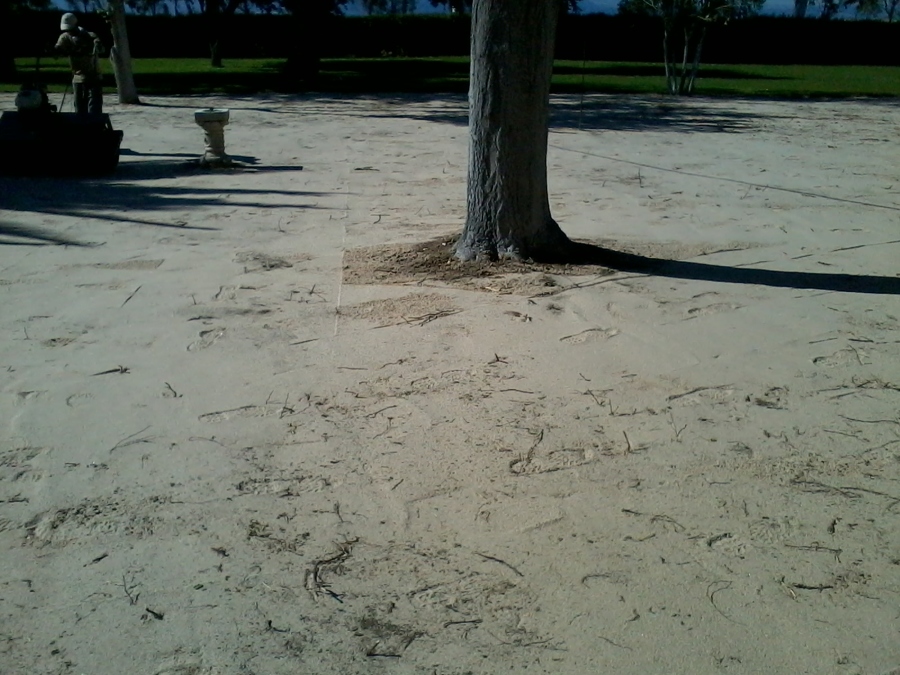 colocación de cesped