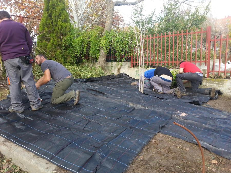 Colocacion de malla antihierbas