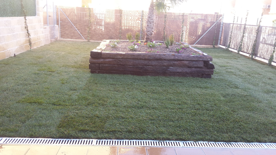 COLOCACIÓN DE PLANTAS