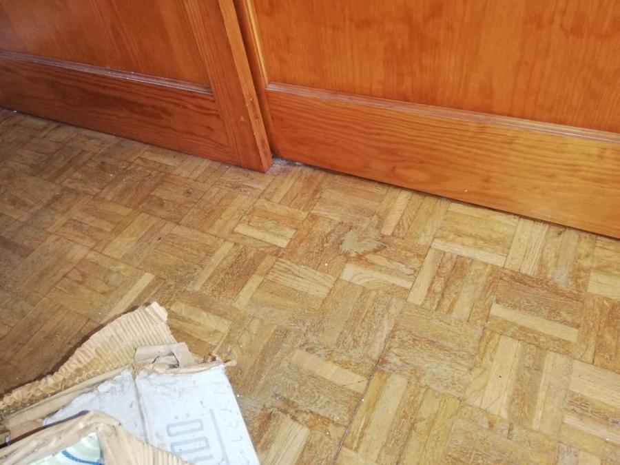 Colocación de plaquetas en piso