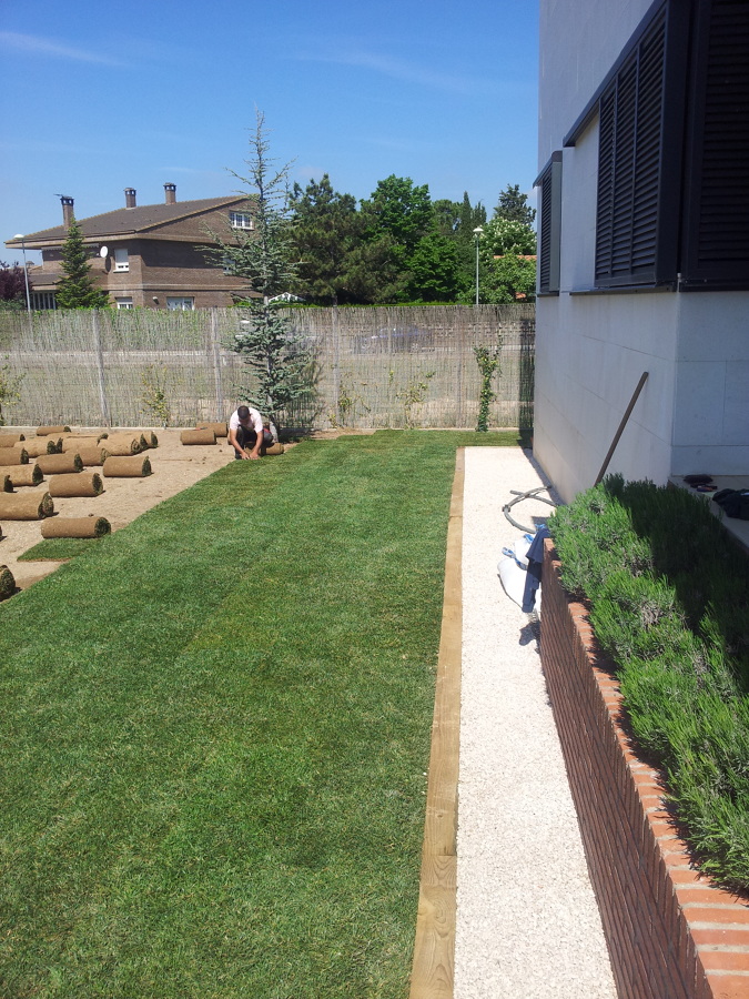 Colocación de tepes