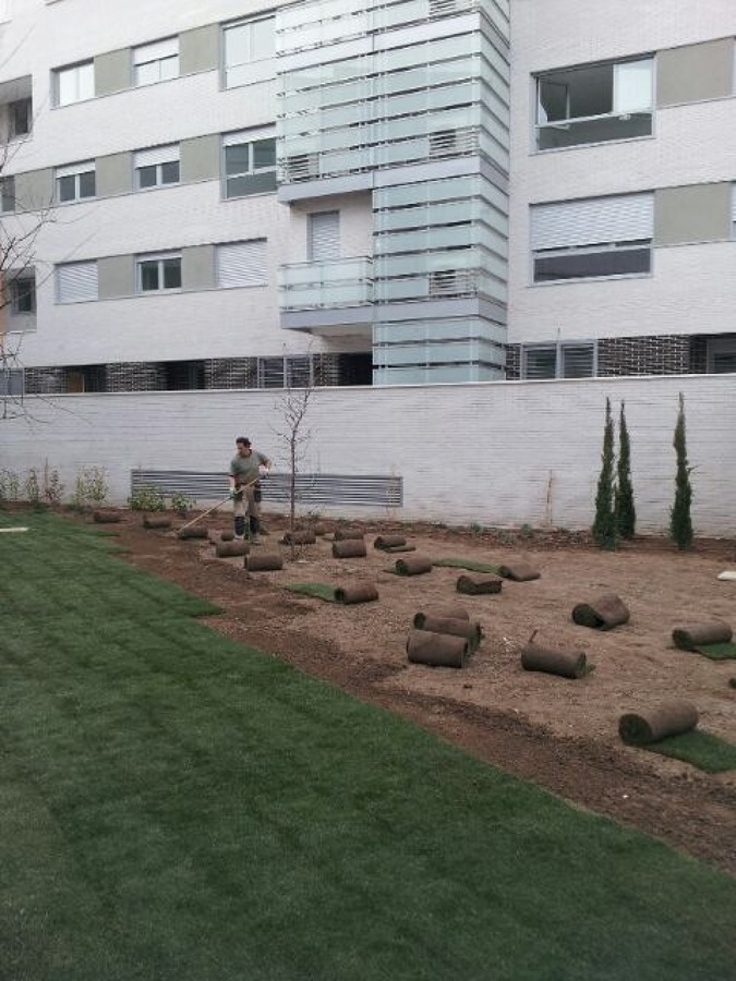 Colocación de tépez