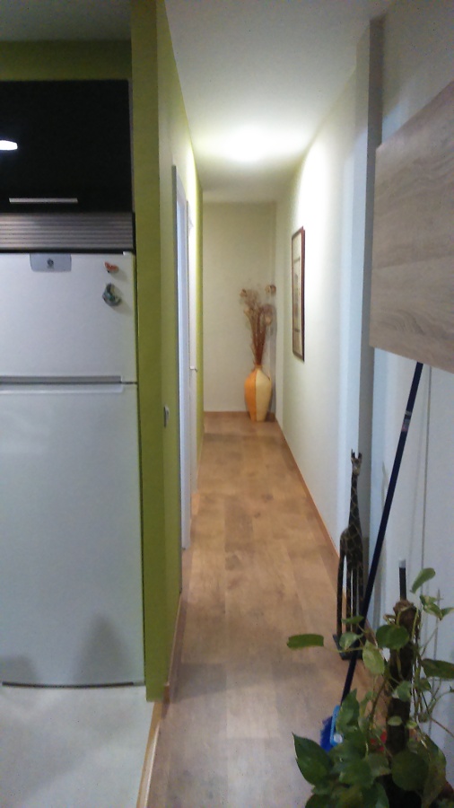 Combinación de colores 