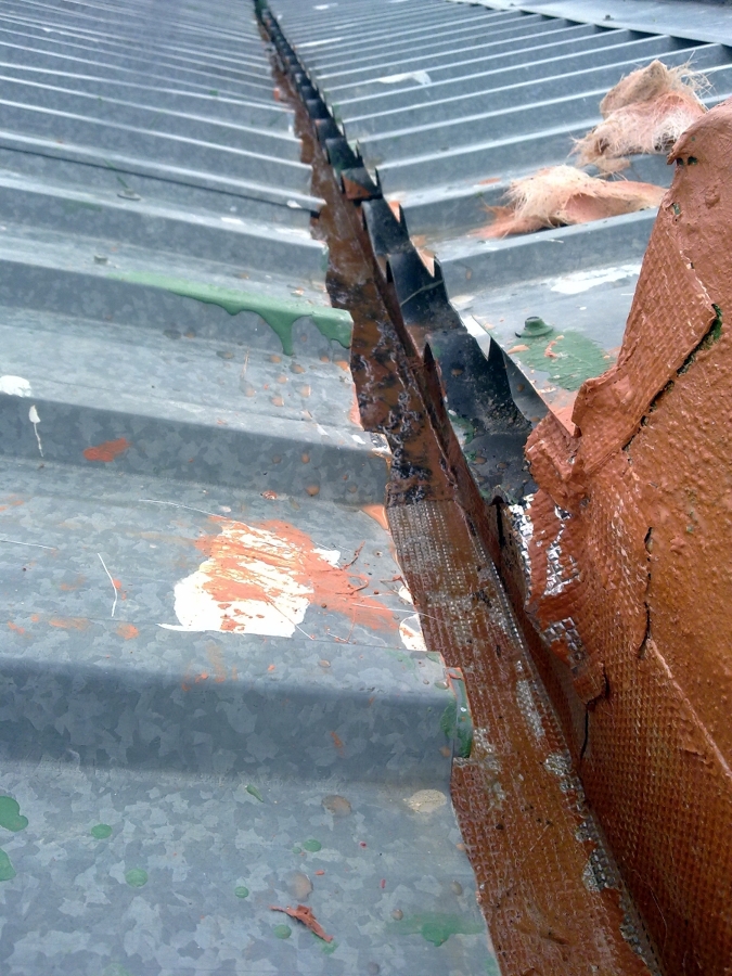 como lo hemos encontrado