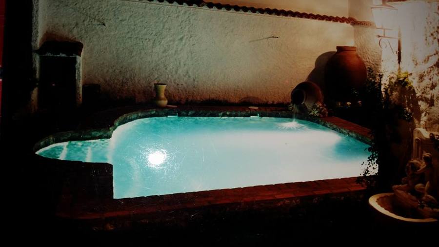 Composicion de piscina en jardin.