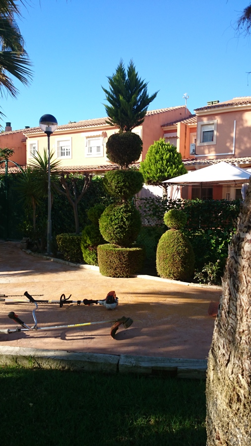 Comunidad de vecinos