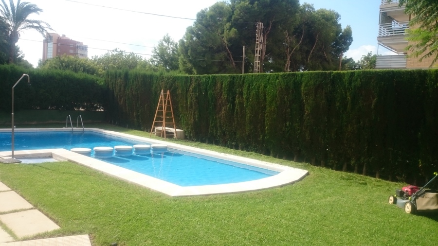 Comunidad de vecinos