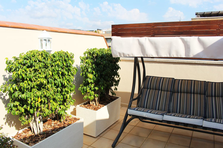 Conservación de las plantas