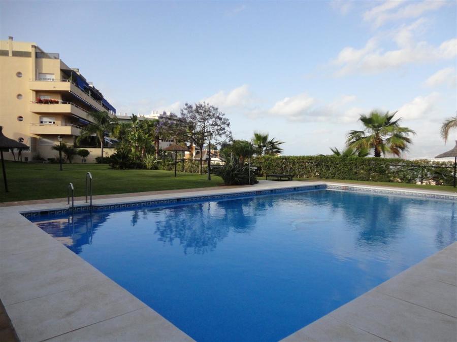 Construcción jardín y piscina