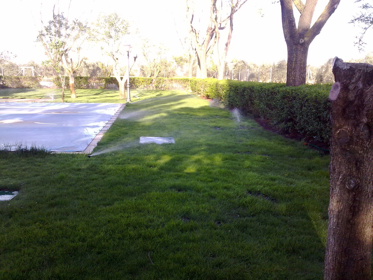 construcción jardín