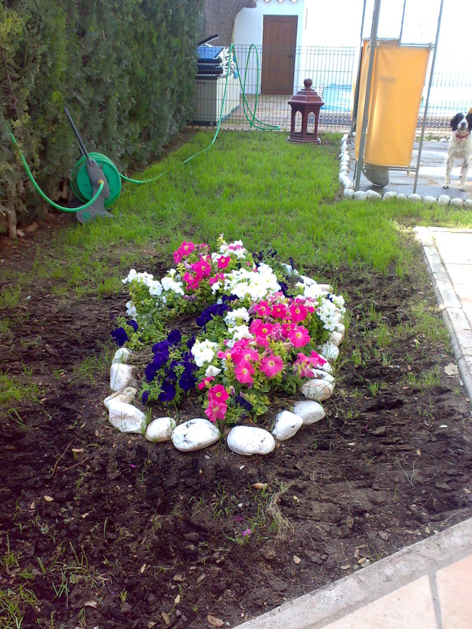 Construyendo paisaje