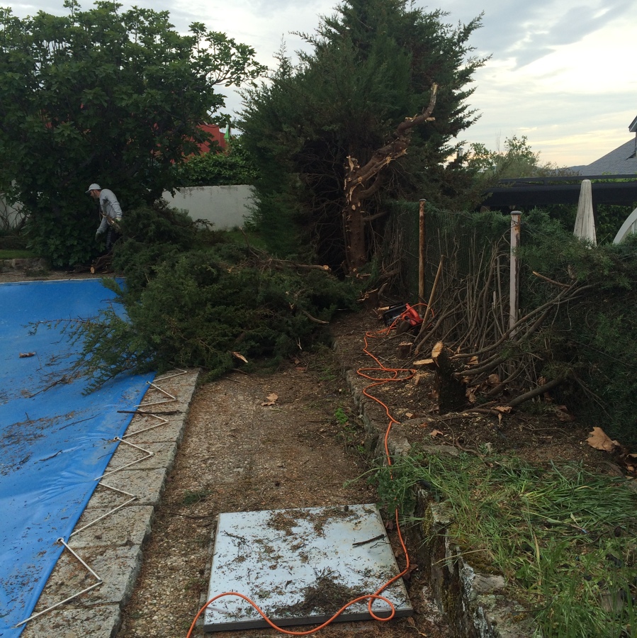 Cortado de Arizonicas