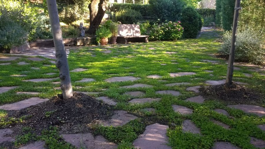 Creación de patio romántico