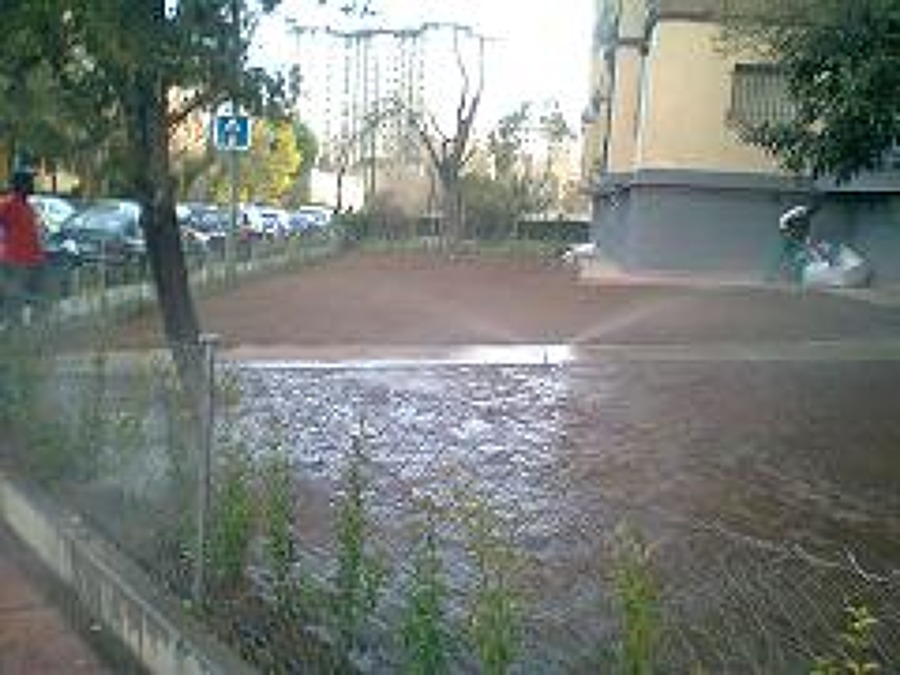 creacion del jardin 1