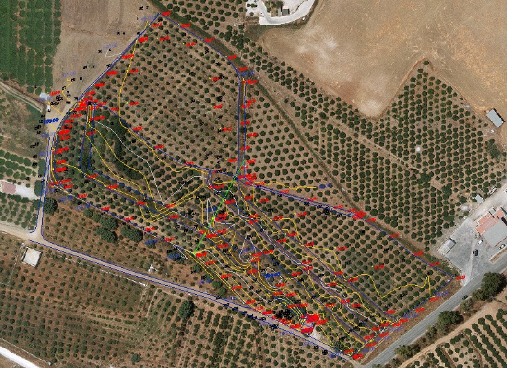 CURVAS DE NIVEL DE PARCELA