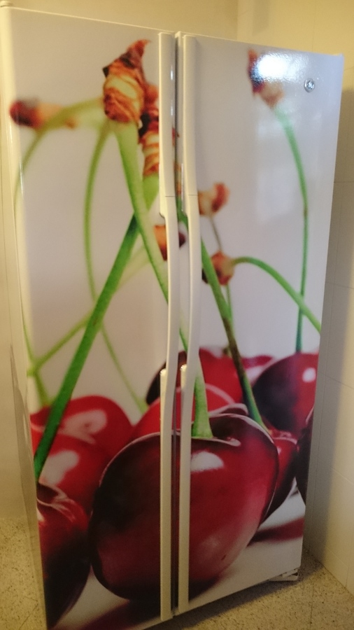 CUSTOMIZAMOS TU NEVERA