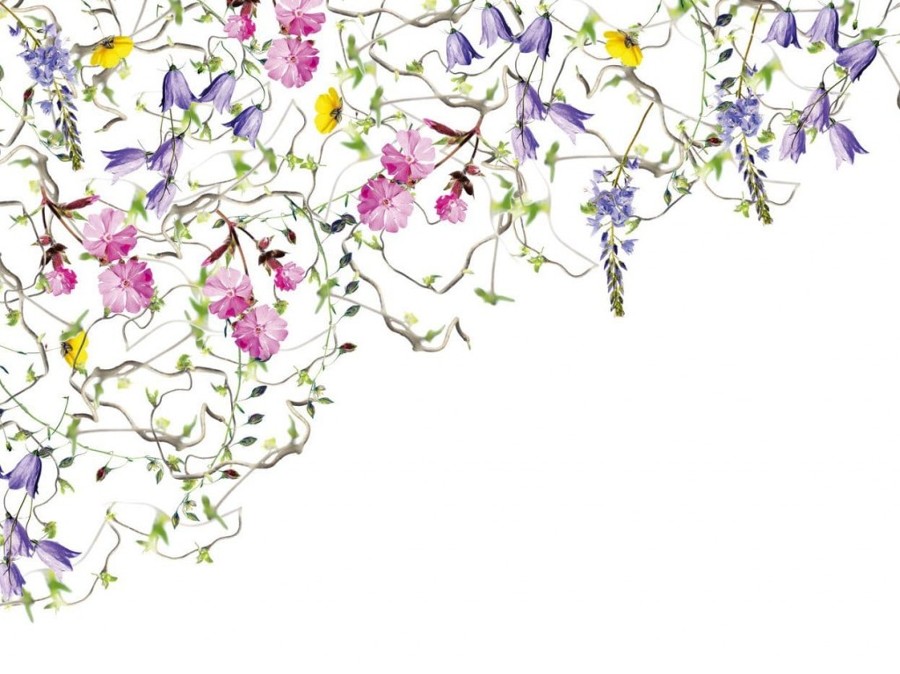 Decoración con papel pintado en Granada: Cafetería La Milagrosa