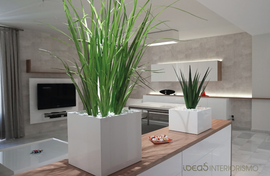 plantas en el salón