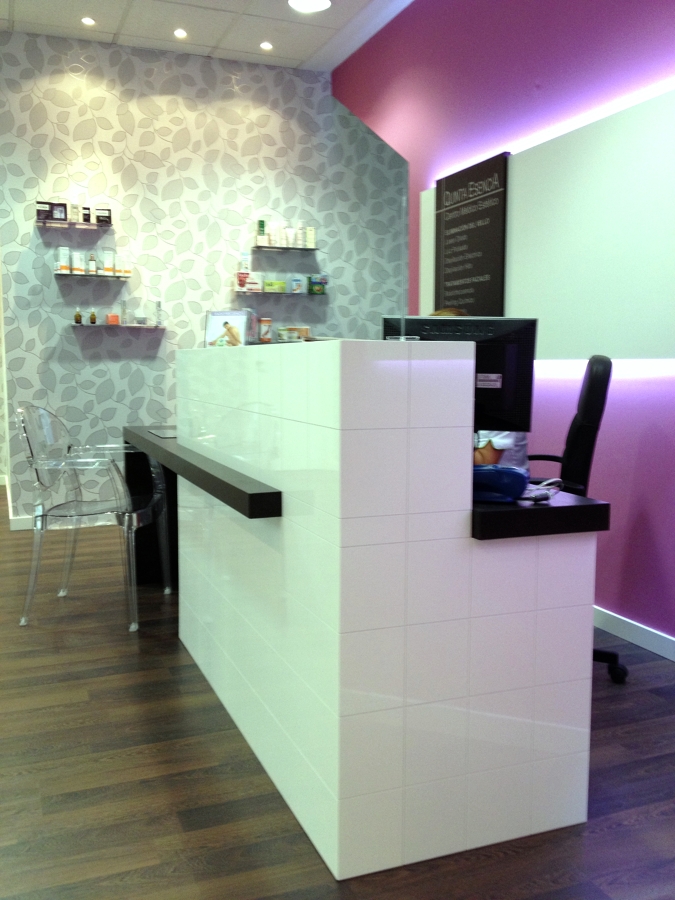 Decoración Zona Recepción Local Comercial