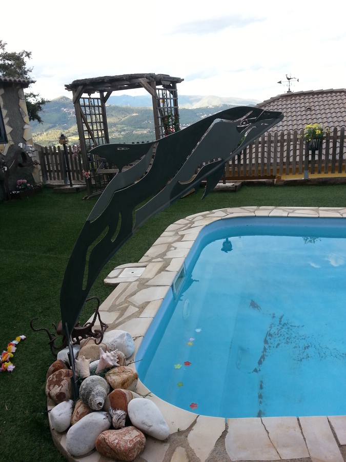 delfin