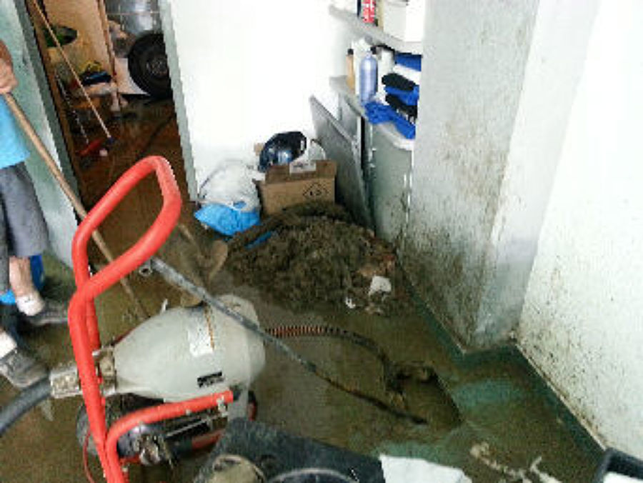 DESATSCOS TUBERIS EN INTERIORES