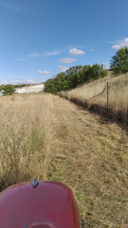 Desbroce parcela industrial