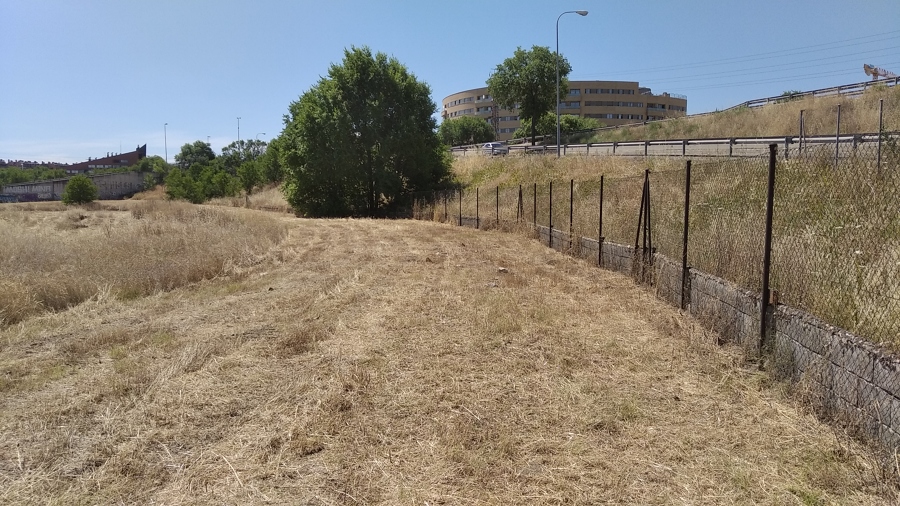 Desbroce parcela industrial