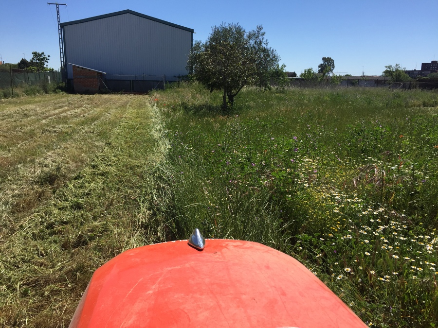 Desbroce parcela rústica