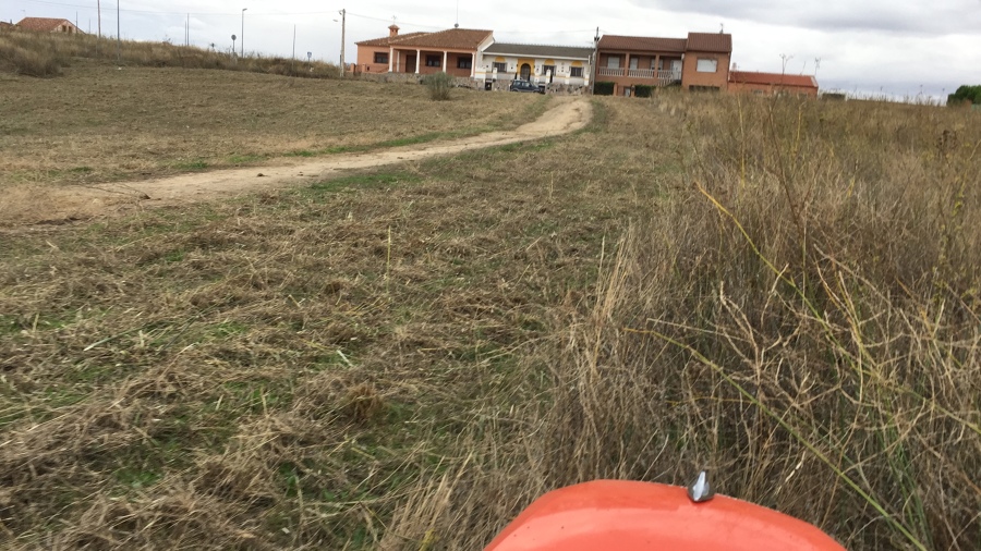 Desbroce parcela urbana