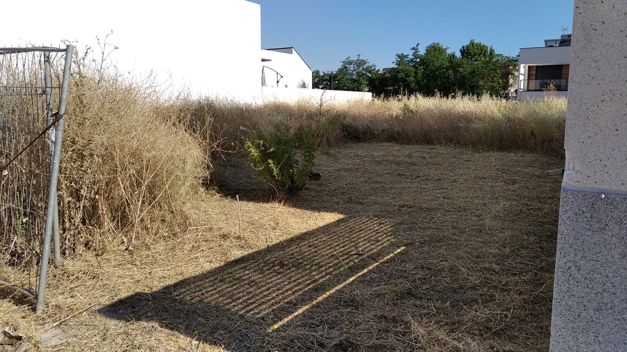 Desbroce parcela urbana