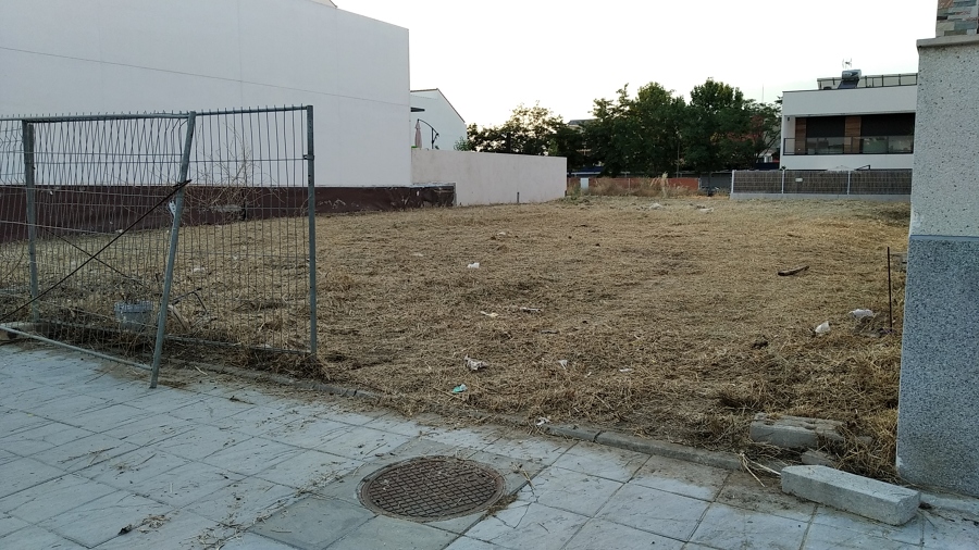 Desbroce parcela urbana