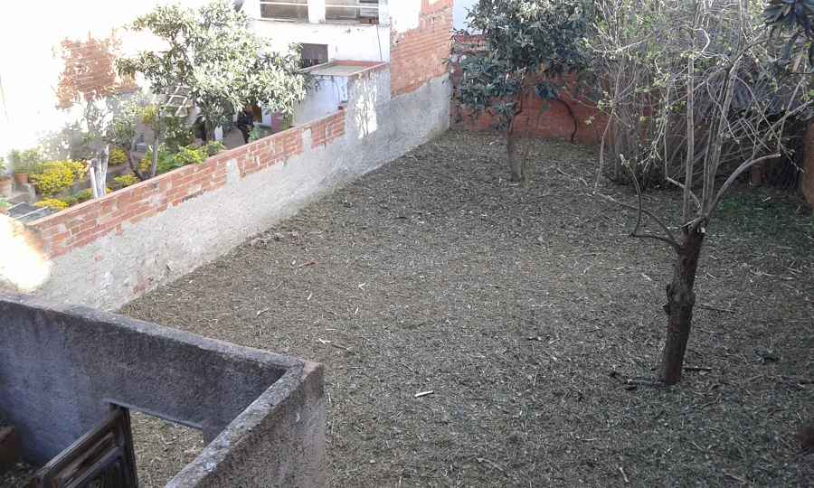 Desbroce patio urbano