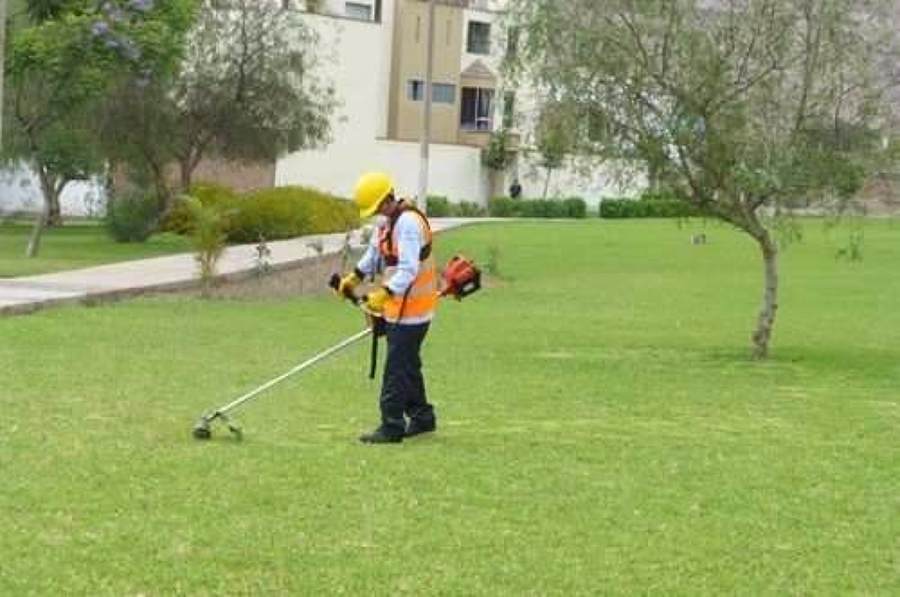 Desbroces y mantenimiento de cesped