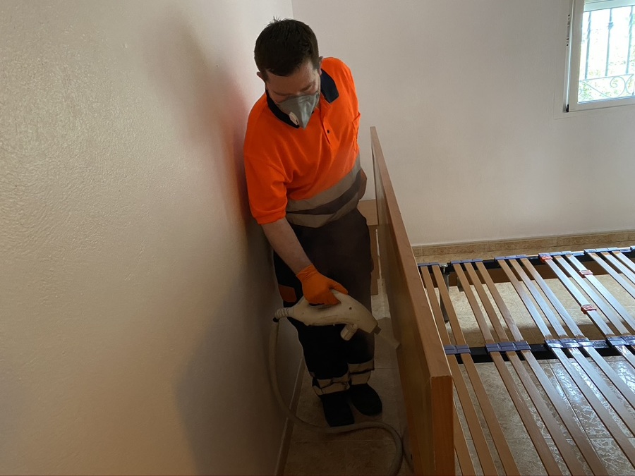 Desinsectación Cabecero