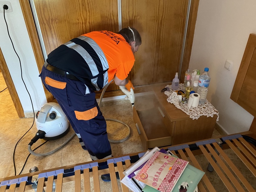 Desinsectación muebles cercanos