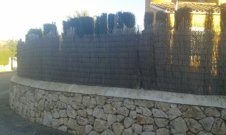 después de colocar la caña 