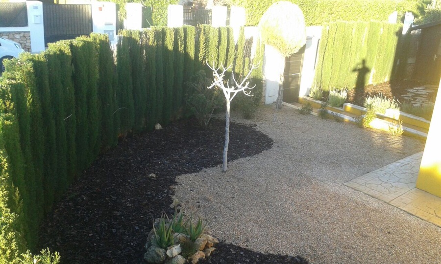 después de la poda y colocación de gravilla