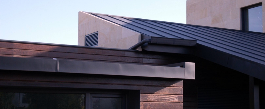 Detalle de la fachada y la cubierta.