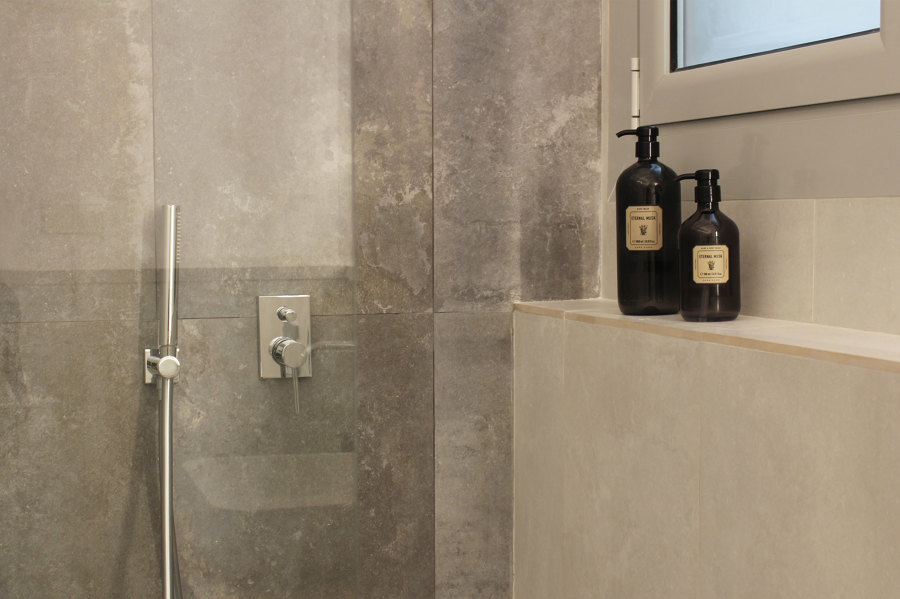 Detalle de la jabonera y ducha empotrada