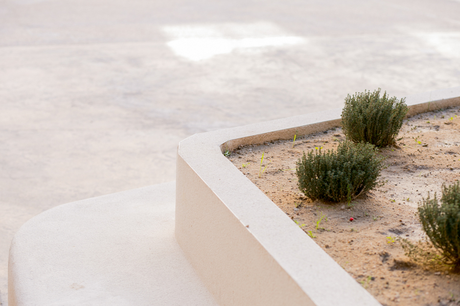 Detalle de la Jardinera